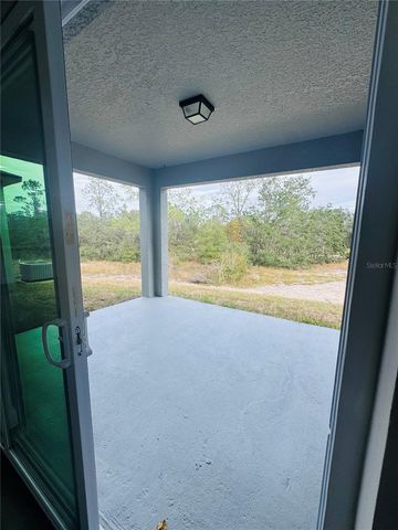 1310 HOMOSASSA DRIVE, Kissimmee, FL 34759