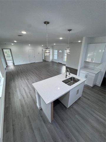 1310 HOMOSASSA DRIVE, Kissimmee, FL 34759