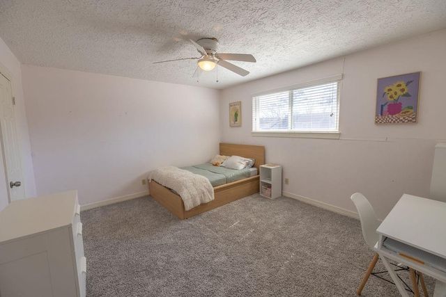 11918 Dorrance Lane, Meadows Place, TX 77477