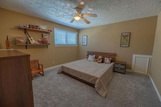 11918 Dorrance Lane, Meadows Place, TX 77477