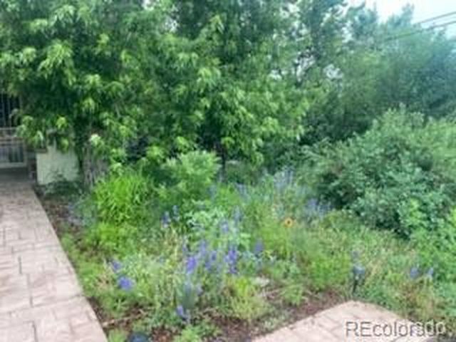 4047 Madison St, Denver, CO 80216