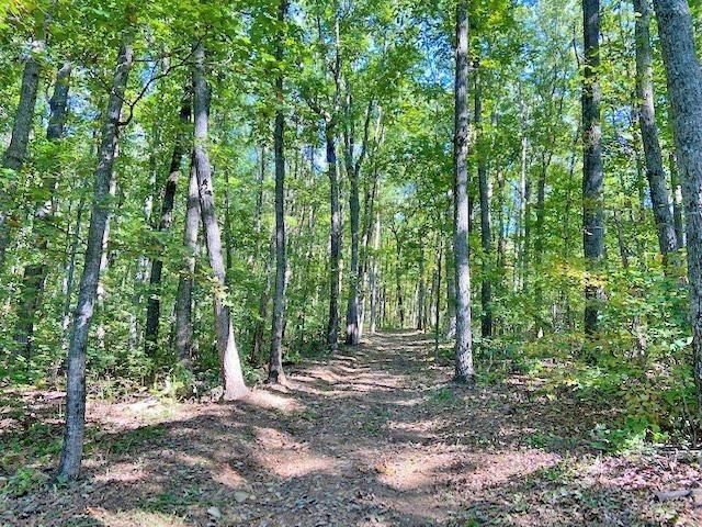 0 Piney Spur Road, Ellijay, GA 30536