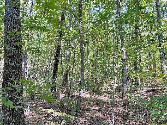 0 Piney Spur Road, Ellijay, GA 30536