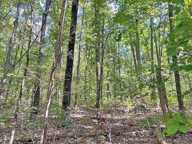 0 Piney Spur Road, Ellijay, GA 30536