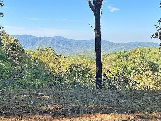 0 Piney Spur Road, Ellijay, GA 30536