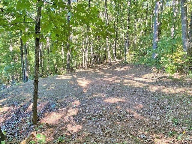 0 Piney Spur Road, Ellijay, GA 30536
