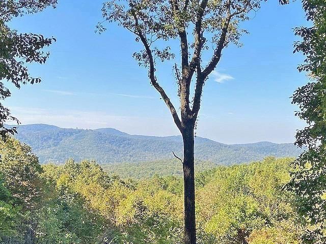 0 Piney Spur Road, Ellijay, GA 30536