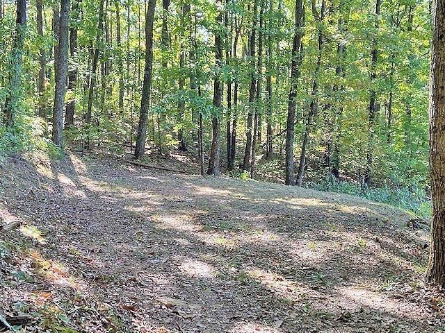 0 Piney Spur Road, Ellijay, GA 30536