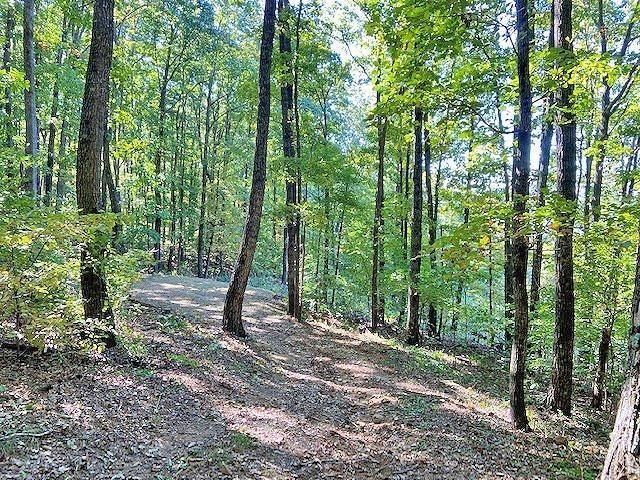 0 Piney Spur Road, Ellijay, GA 30536