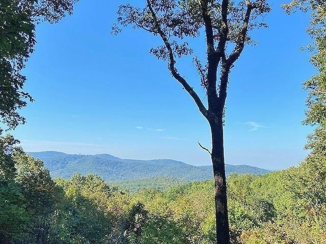 0 Piney Spur Road, Ellijay, GA 30536