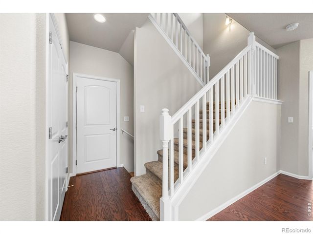 1838 Rise Drive, Windsor, CO 80550