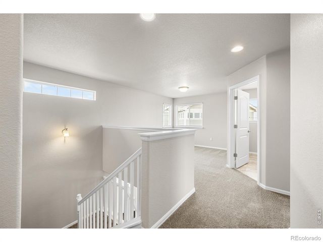 1838 Rise Drive, Windsor, CO 80550