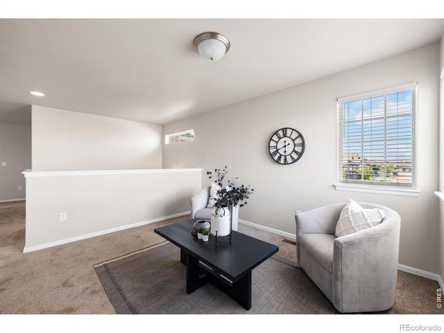 1838 Rise Drive, Windsor, CO 80550