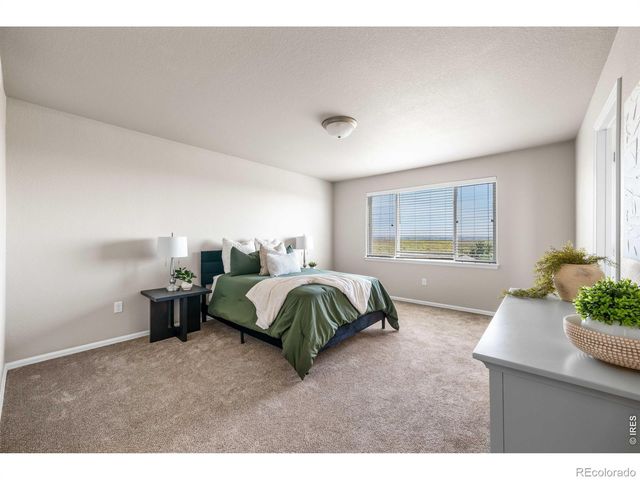 1838 Rise Drive, Windsor, CO 80550