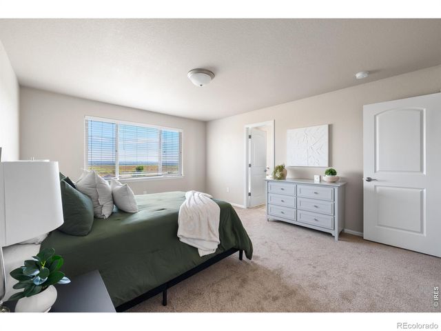 1838 Rise Drive, Windsor, CO 80550
