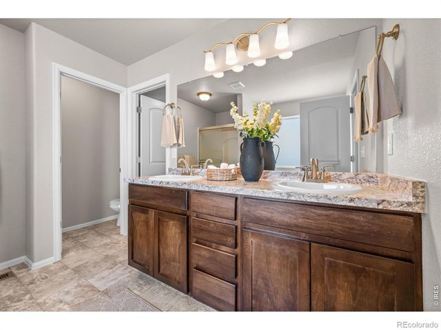 1838 Rise Drive, Windsor, CO 80550