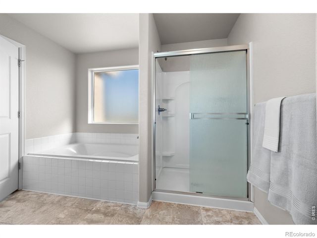 1838 Rise Drive, Windsor, CO 80550