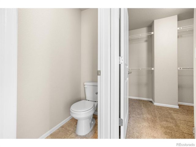 1838 Rise Drive, Windsor, CO 80550