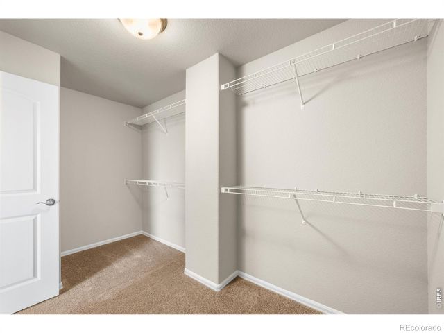 1838 Rise Drive, Windsor, CO 80550