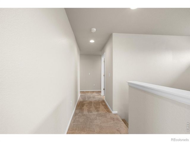 1838 Rise Drive, Windsor, CO 80550