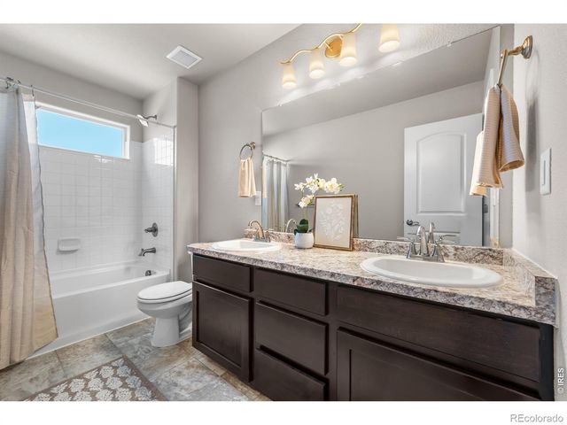 1838 Rise Drive, Windsor, CO 80550