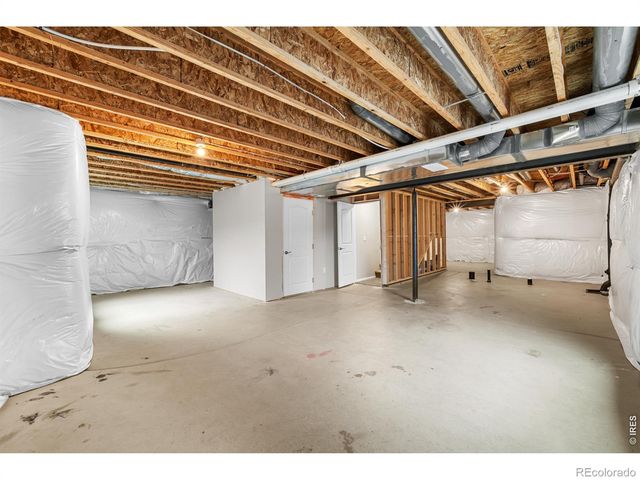 1838 Rise Drive, Windsor, CO 80550
