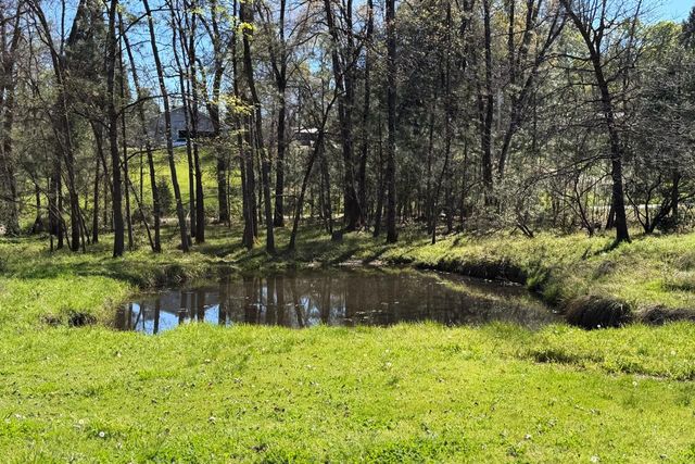 5606 Silver Strand Fall, Mariposa, CA 95338