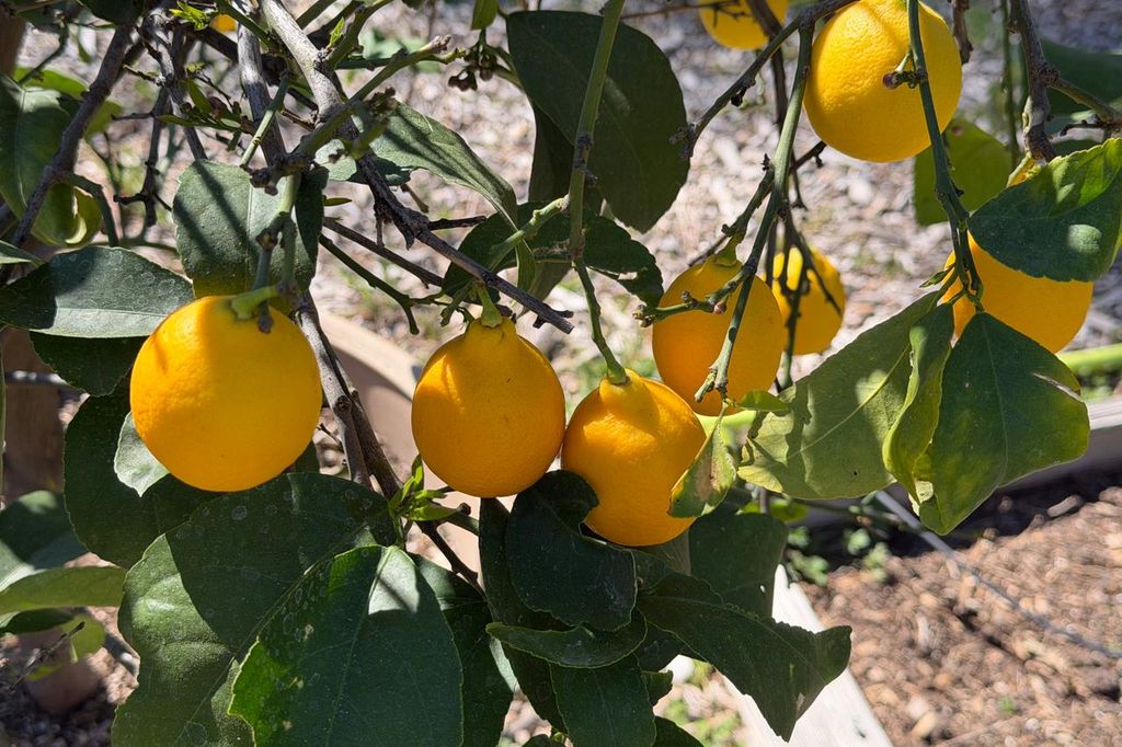 Image 55 of property listing at 5606 Silver Strand Fall, Mariposa, CA 95338