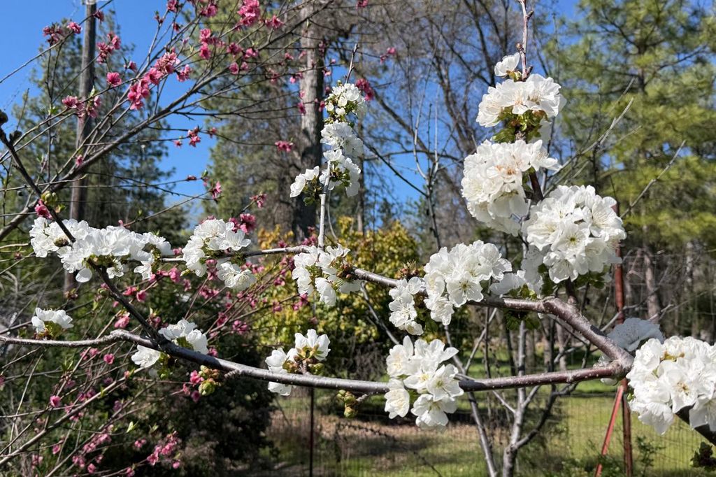 Image 57 of property listing at 5606 Silver Strand Fall, Mariposa, CA 95338