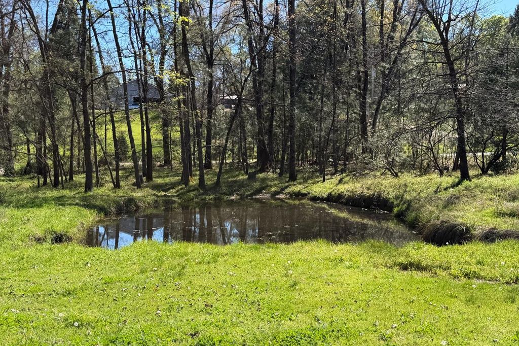 Image 61 of property listing at 5606 Silver Strand Fall, Mariposa, CA 95338