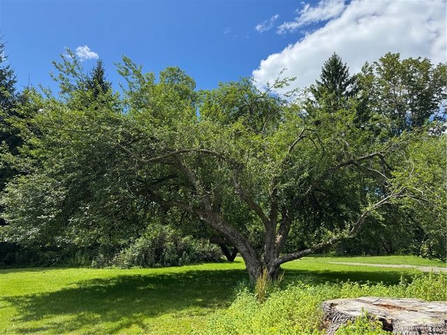 778 Hammerle Road, Mc Donough, NY 13830