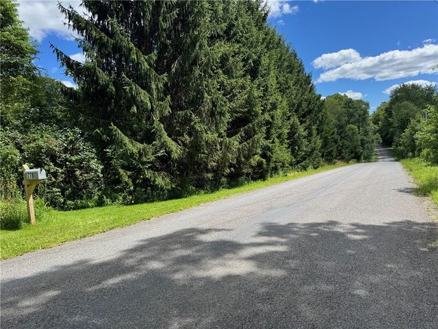 778 Hammerle Road, Mc Donough, NY 13830