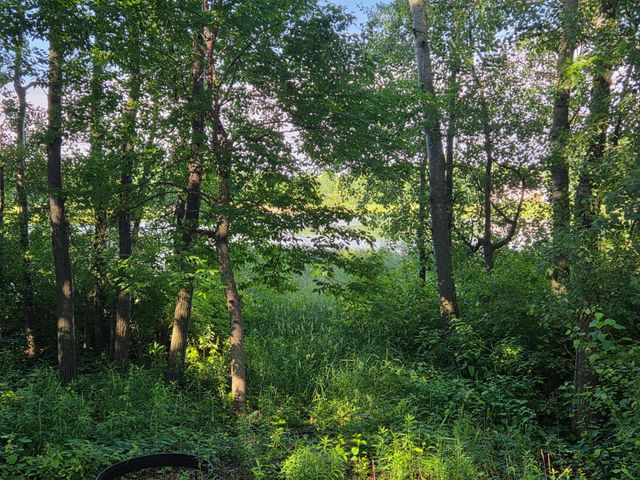 26006 10th Street W, Zimmerman, MN 55398
