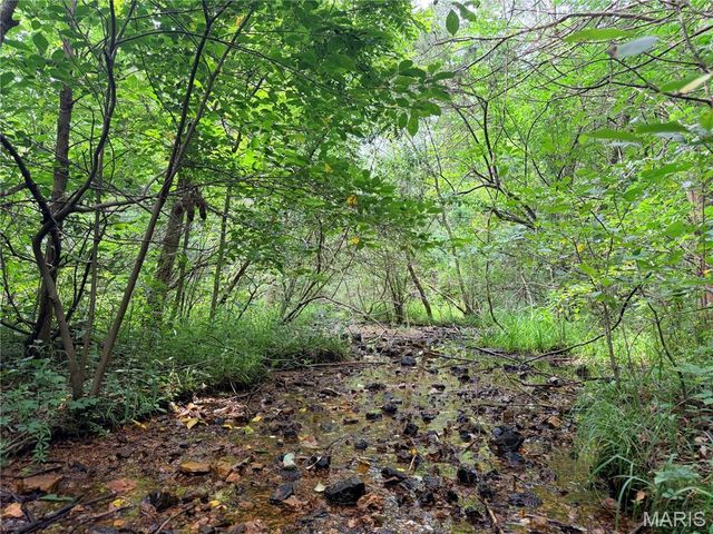 416+- Acres Christy Mine Road, Bourbon, MO 65441