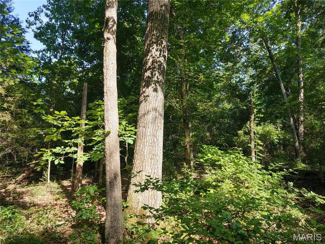 416+- Acres Christy Mine Road, Bourbon, MO 65441