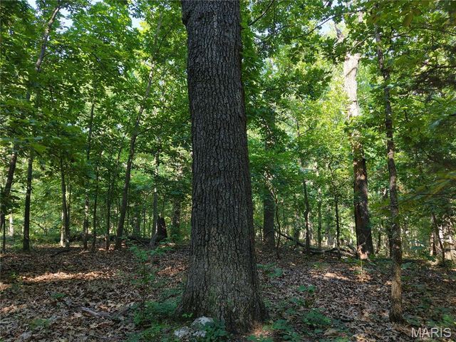 416+- Acres Christy Mine Road, Bourbon, MO 65441