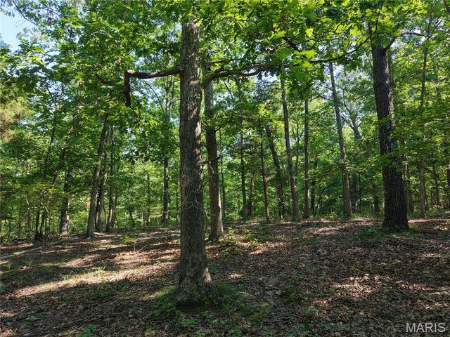 416+- Acres Christy Mine Road, Bourbon, MO 65441