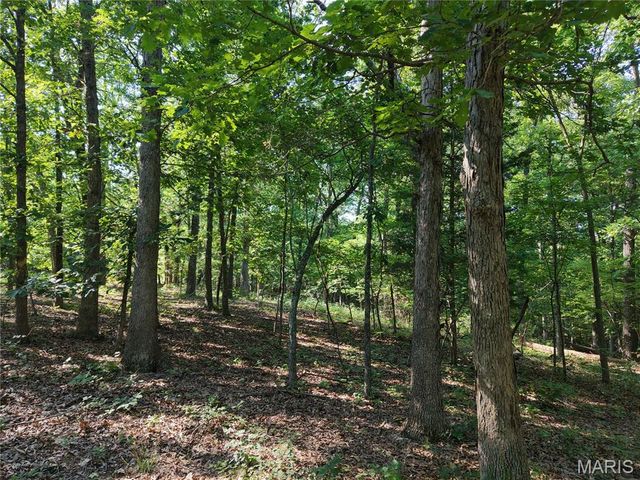 416+- Acres Christy Mine Road, Bourbon, MO 65441
