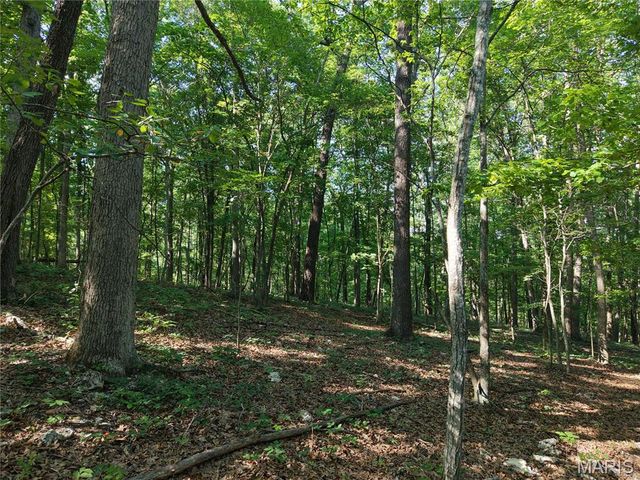 416+- Acres Christy Mine Road, Bourbon, MO 65441
