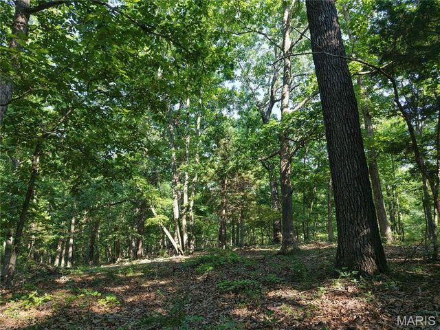 416+- Acres Christy Mine Road, Bourbon, MO 65441
