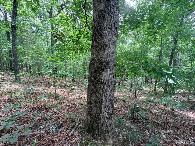 416+- Acres Christy Mine Road, Bourbon, MO 65441
