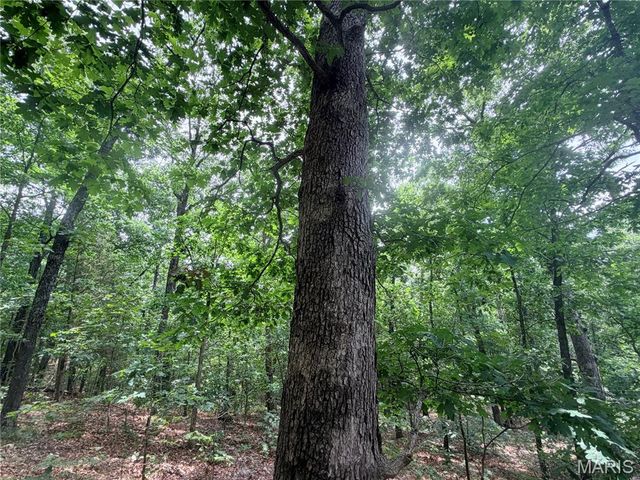 416+- Acres Christy Mine Road, Bourbon, MO 65441