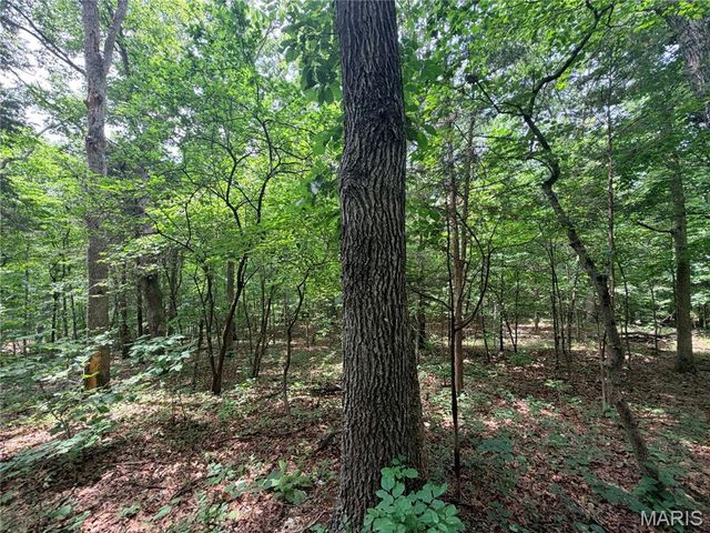 416+- Acres Christy Mine Road, Bourbon, MO 65441