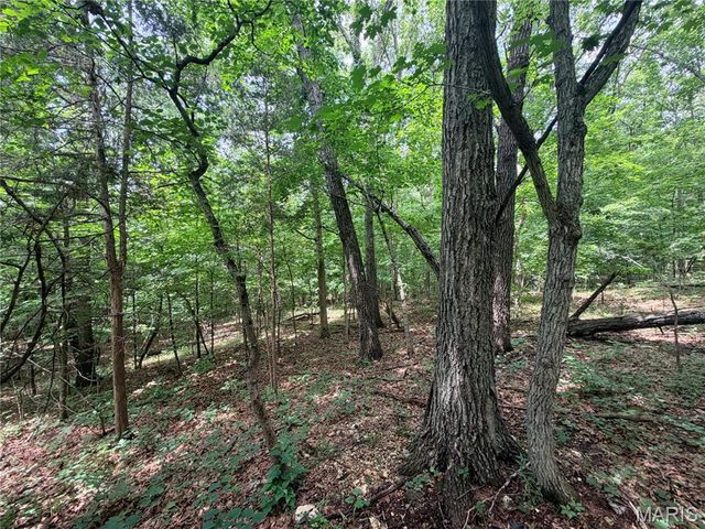 416+- Acres Christy Mine Road, Bourbon, MO 65441