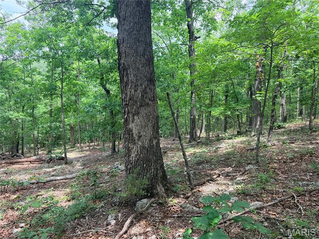 416+- Acres Christy Mine Road, Bourbon, MO 65441