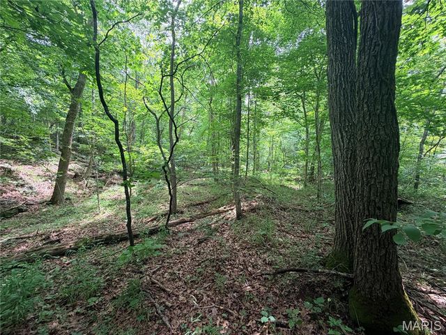 416+- Acres Christy Mine Road, Bourbon, MO 65441