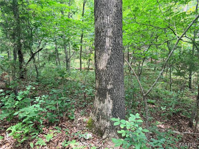 416+- Acres Christy Mine Road, Bourbon, MO 65441