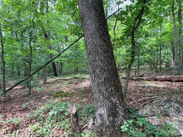 416+- Acres Christy Mine Road, Bourbon, MO 65441