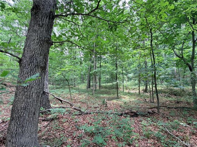 416+- Acres Christy Mine Road, Bourbon, MO 65441