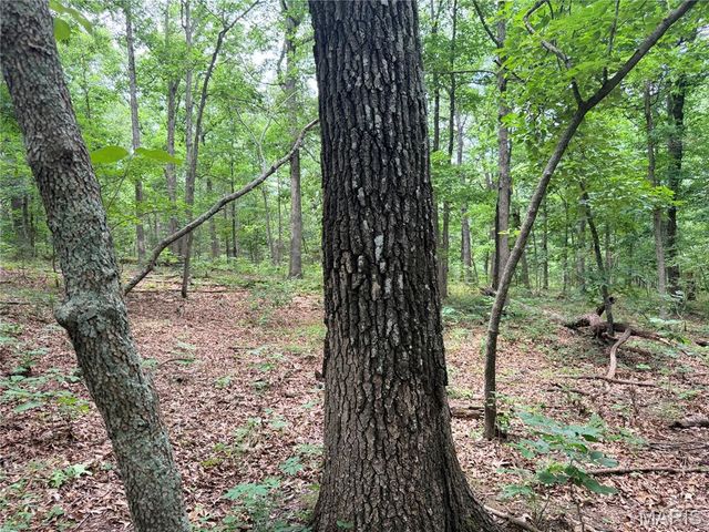 416+- Acres Christy Mine Road, Bourbon, MO 65441